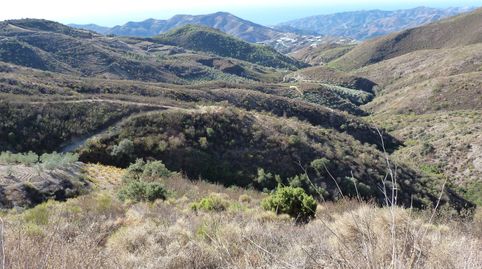 Parcela de terreno en venta en el paraje de Jurite Ítrabo de 22.000 metros cuadrados.