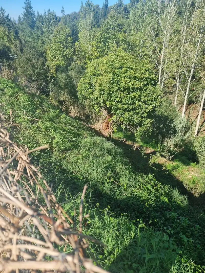 Lands and plots for sale in Can Massuet del Far, imagen 2