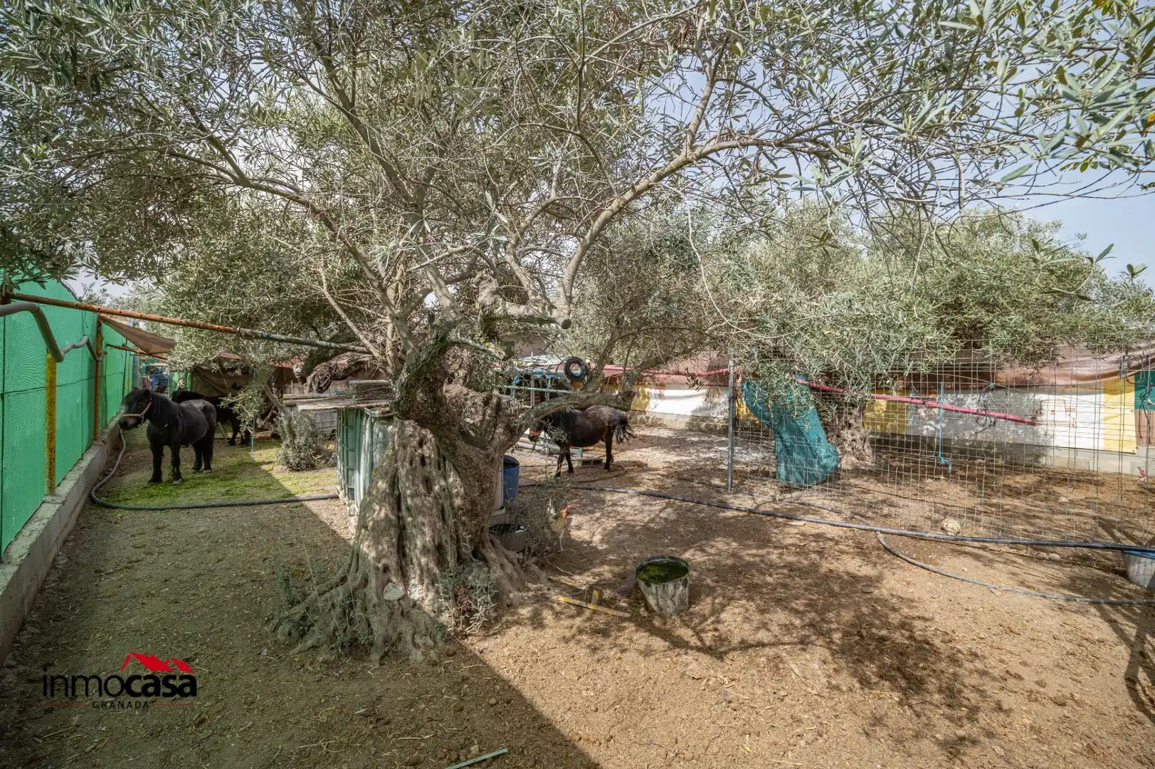 Garden of Residential for sale in Las Gabias