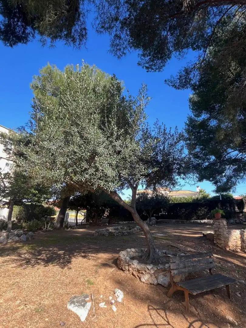 Flat with garden for sale in del Pla de l'Era, imagen 18