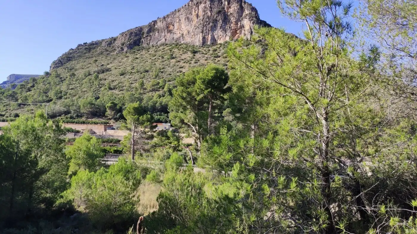 Vista exterior de Finca rústica en venta en L'Atzúbia
