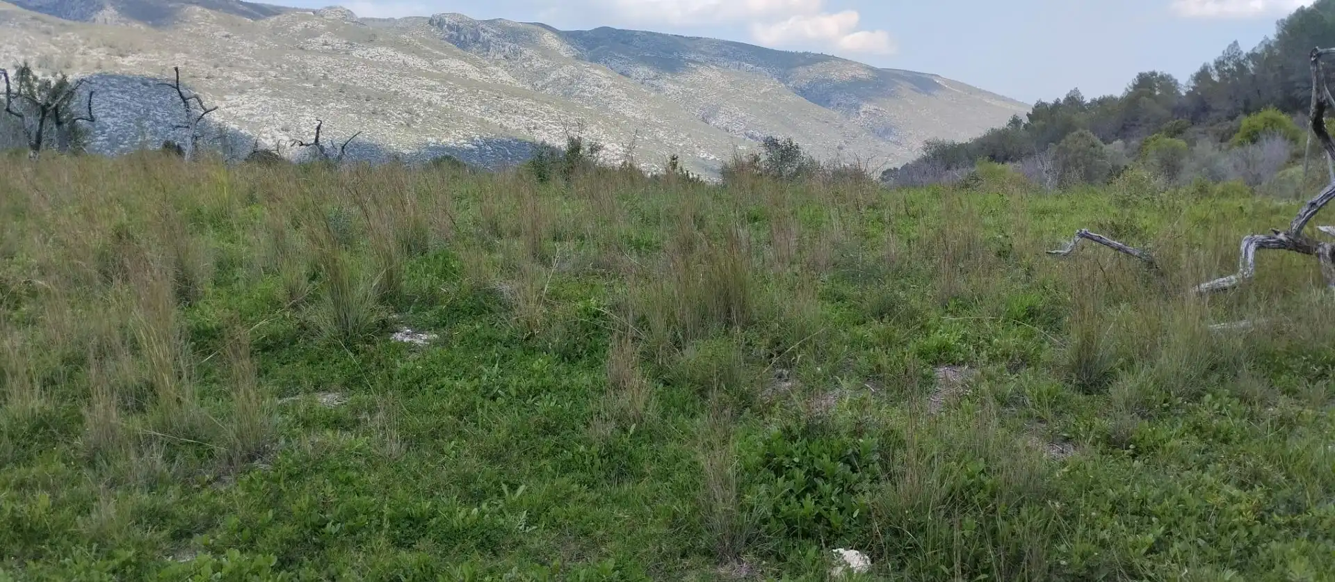 Terreny rústic en venda a La Vall de Gallinera, imagen 7
