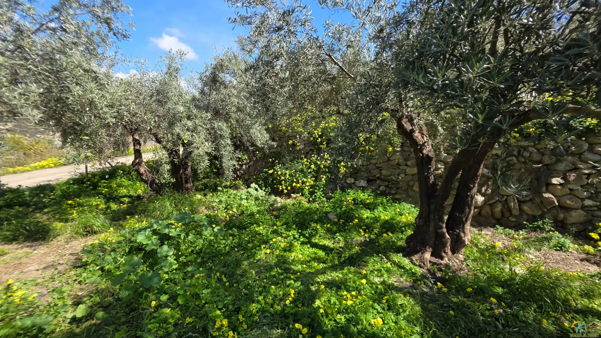Jardí de Finca rústica en venda en Canjáyar amb Moblat