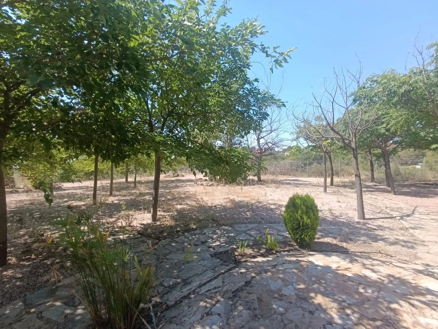 Casa o xalet en venda en Totana amb Aire condicionat, Jardí privat i Terrassa