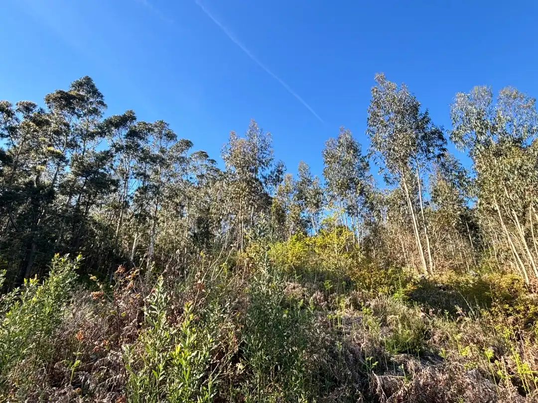 Residential for sale in Boiro