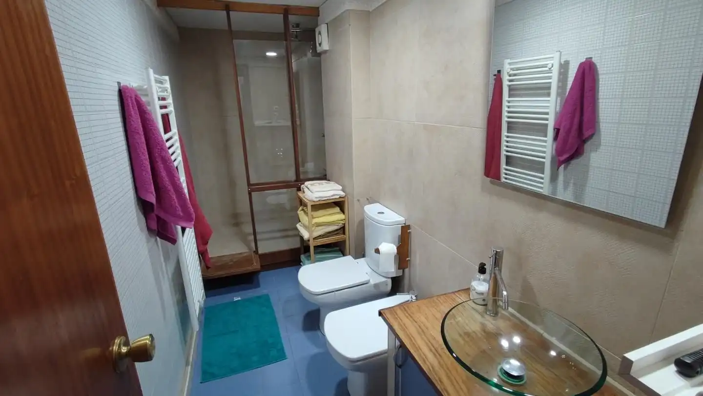 Bathroom of Flat for rent in Granada  with Heating and Furnished