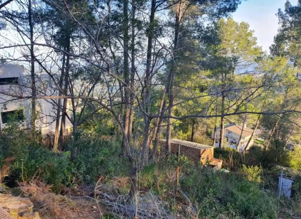 Terreny rústic en venda a CAN MONTMANY (DE), imagen 12