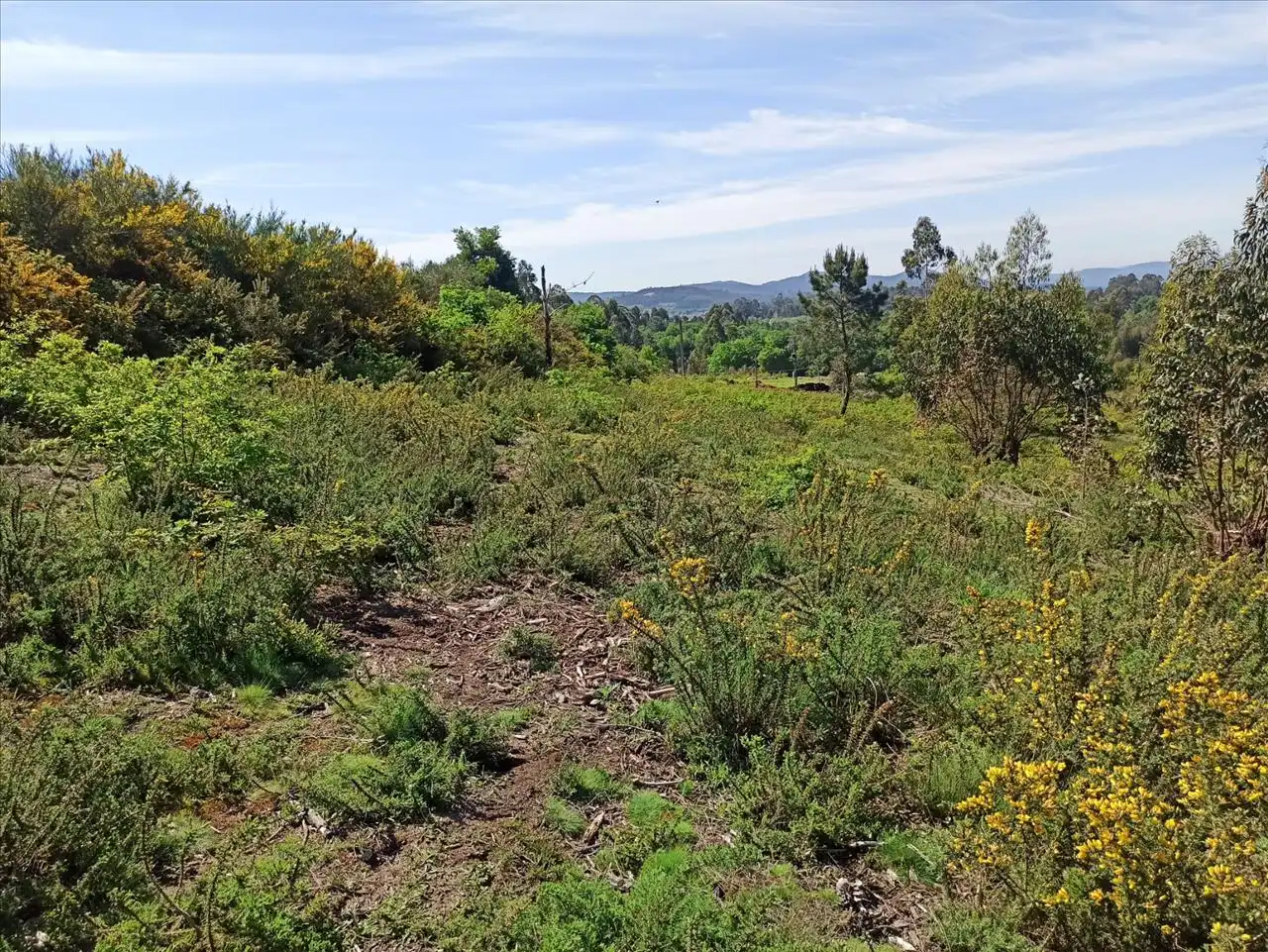 Terreni e lotti in vendita a S16 GALDRACHAN. PARCELA AR18-1, imagen 7