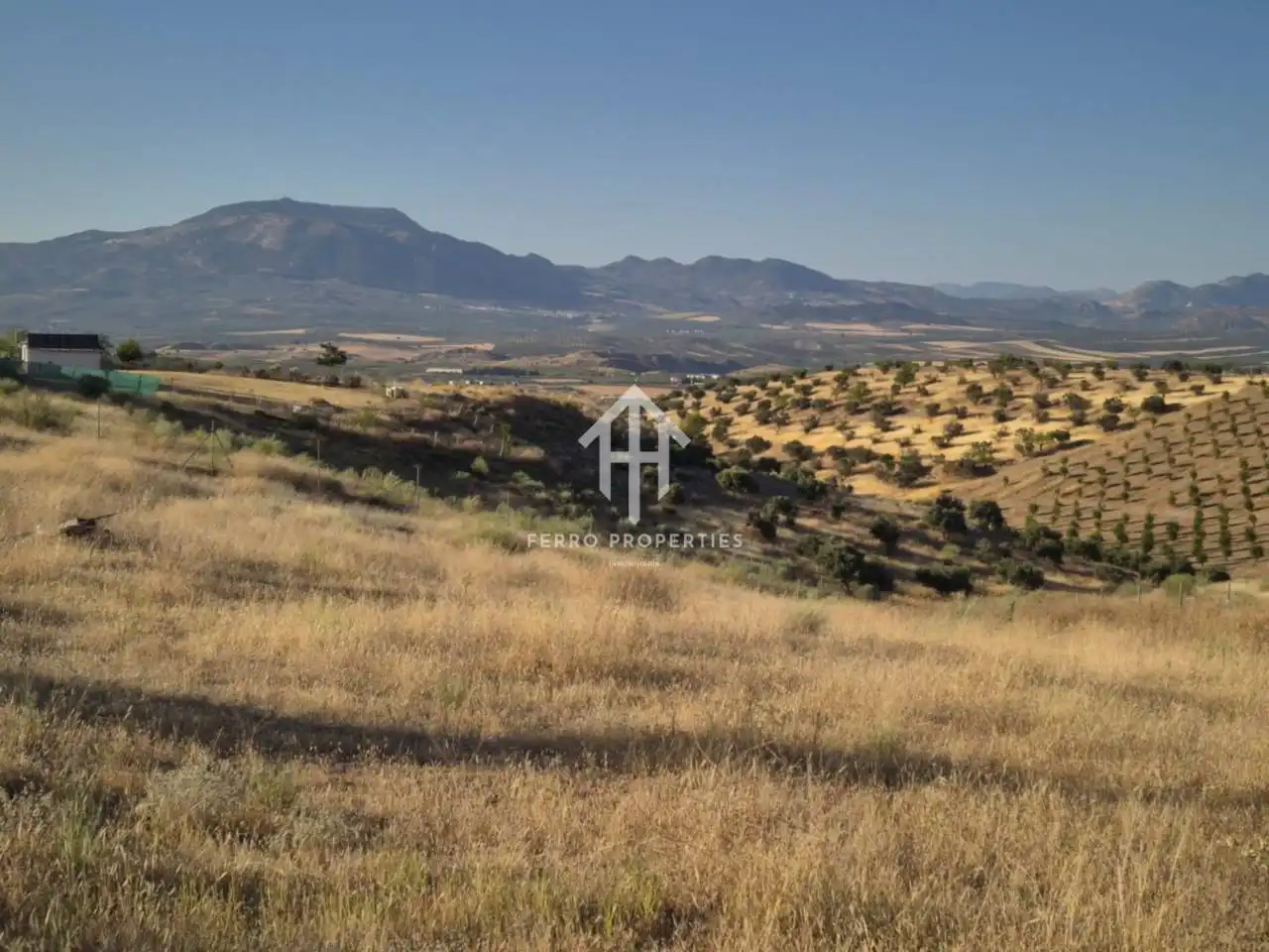 Rural land for sale in Moraleda de Zafayona, imagen 11