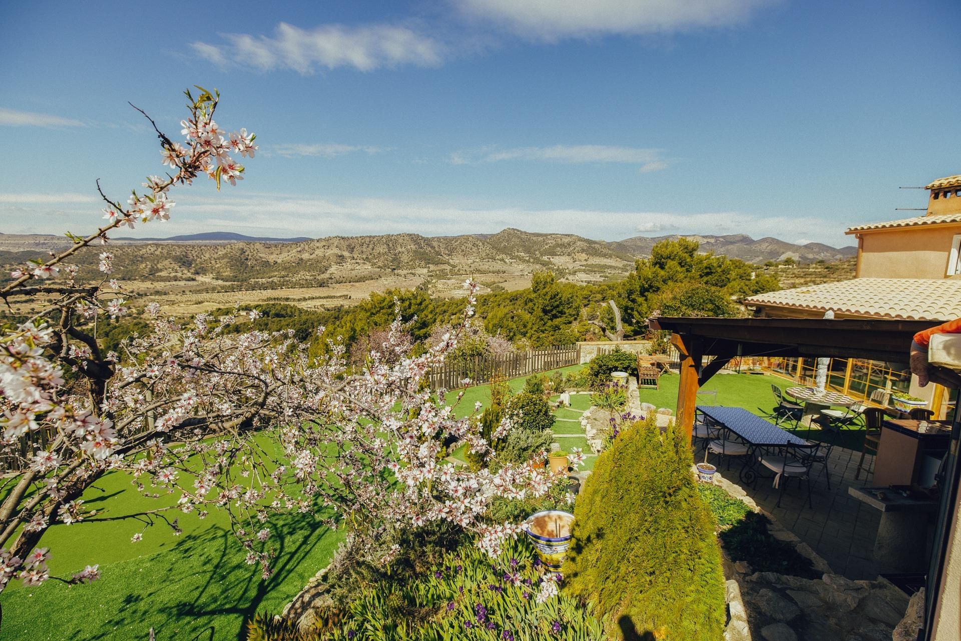 Jardí de Finca rústica en venda en Torremanzanas / La Torre de les Maçanes amb Calefacció, Jardí privat i Terrassa