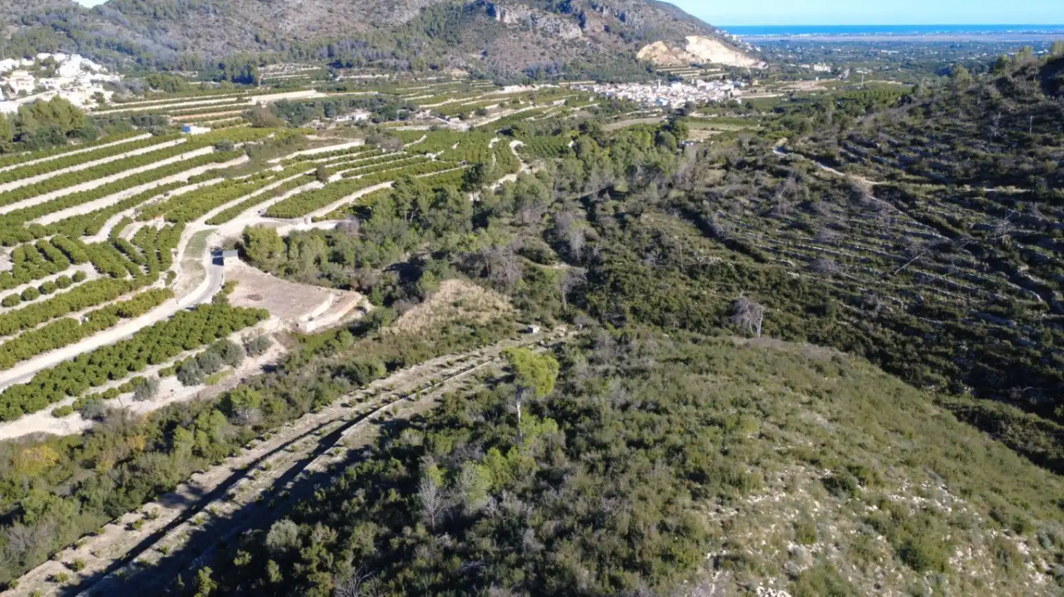 Terrenys i solars en venda a L'Atzúbia, imagen 8