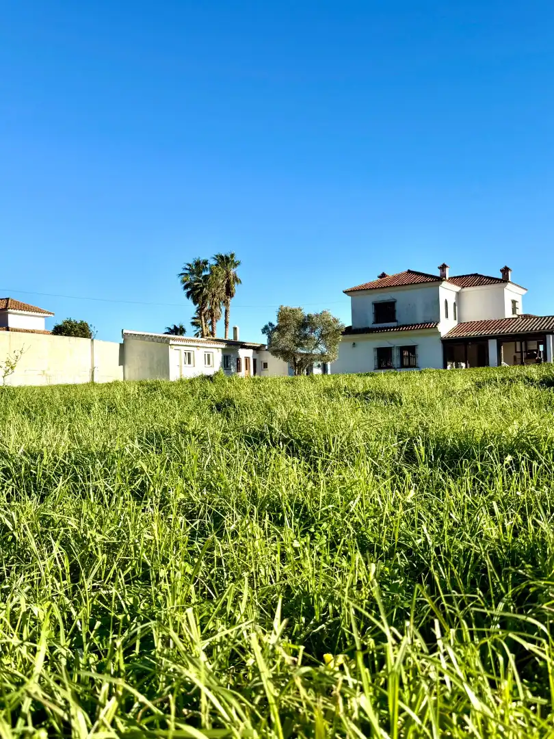 Chalet con terraza en venta en Los Brezos, imagen 2