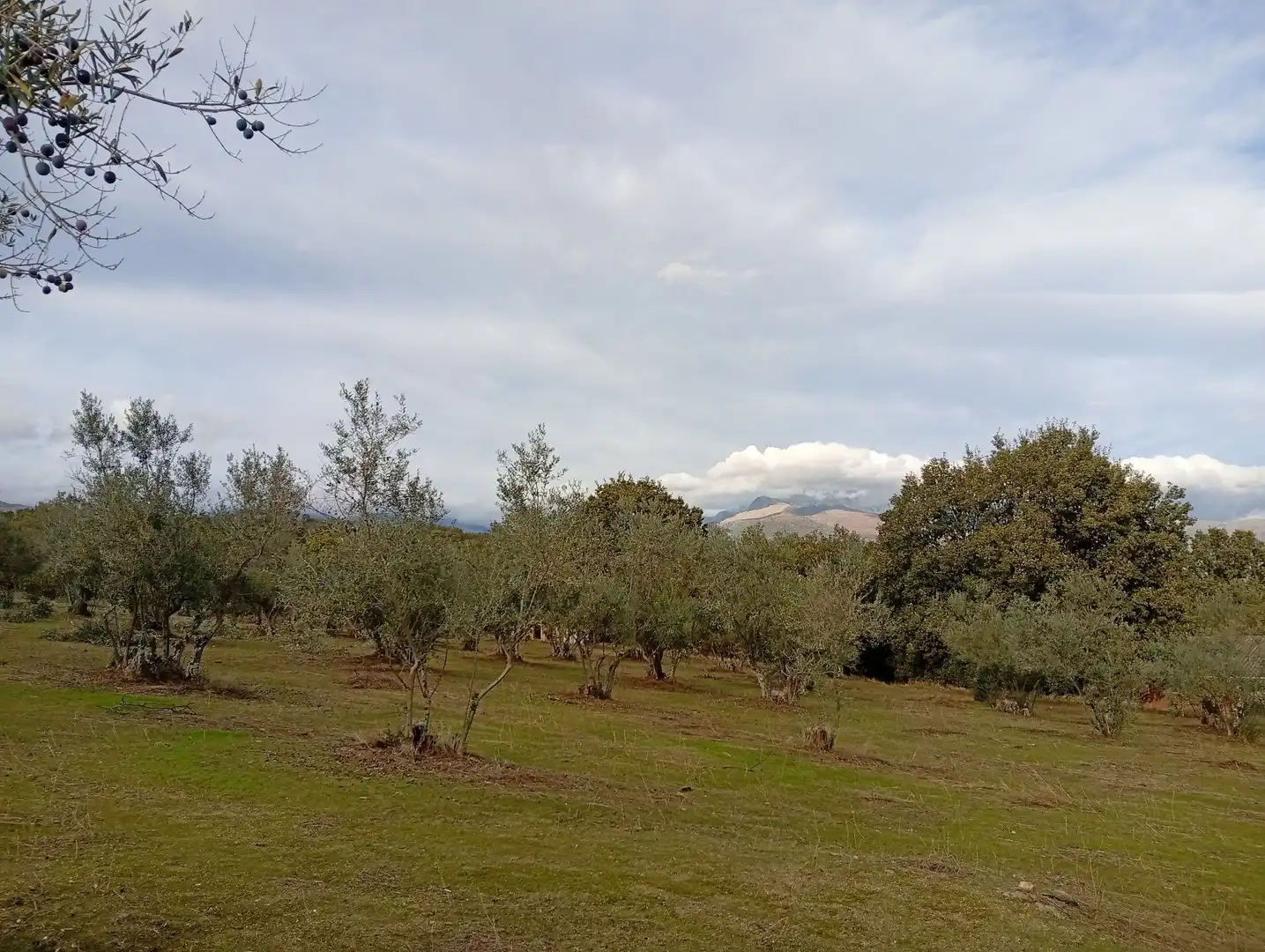 Terreni e lotti in vendita a Villanueva de la Vera, imagen 22