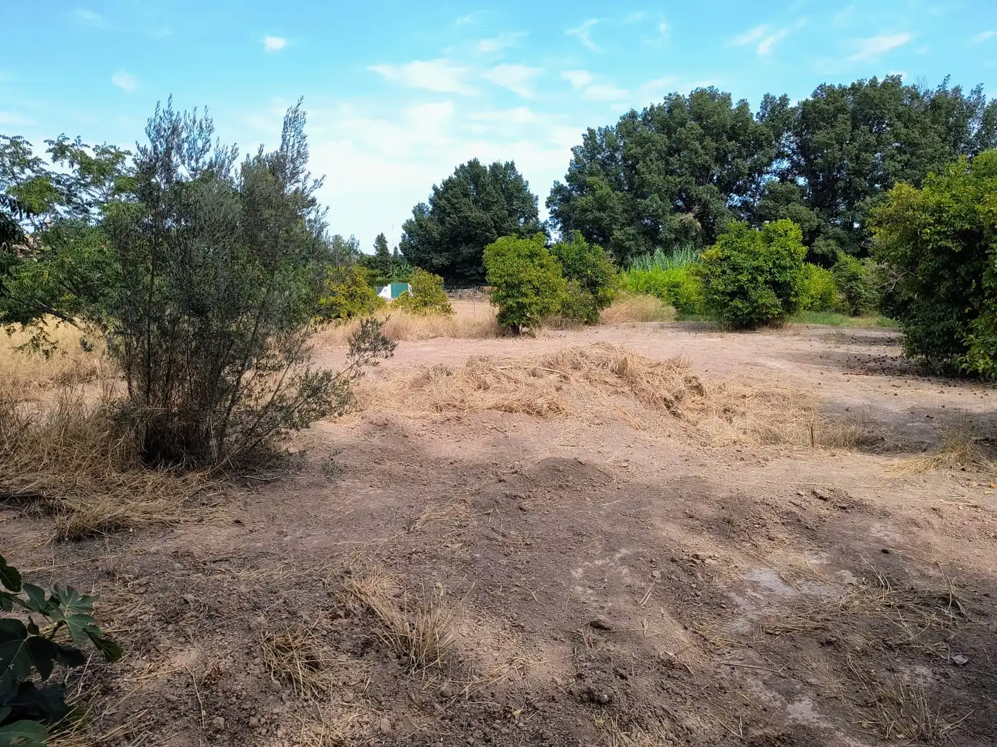 Terrenys i solars en venda a Pedanías Oeste, imagen 6