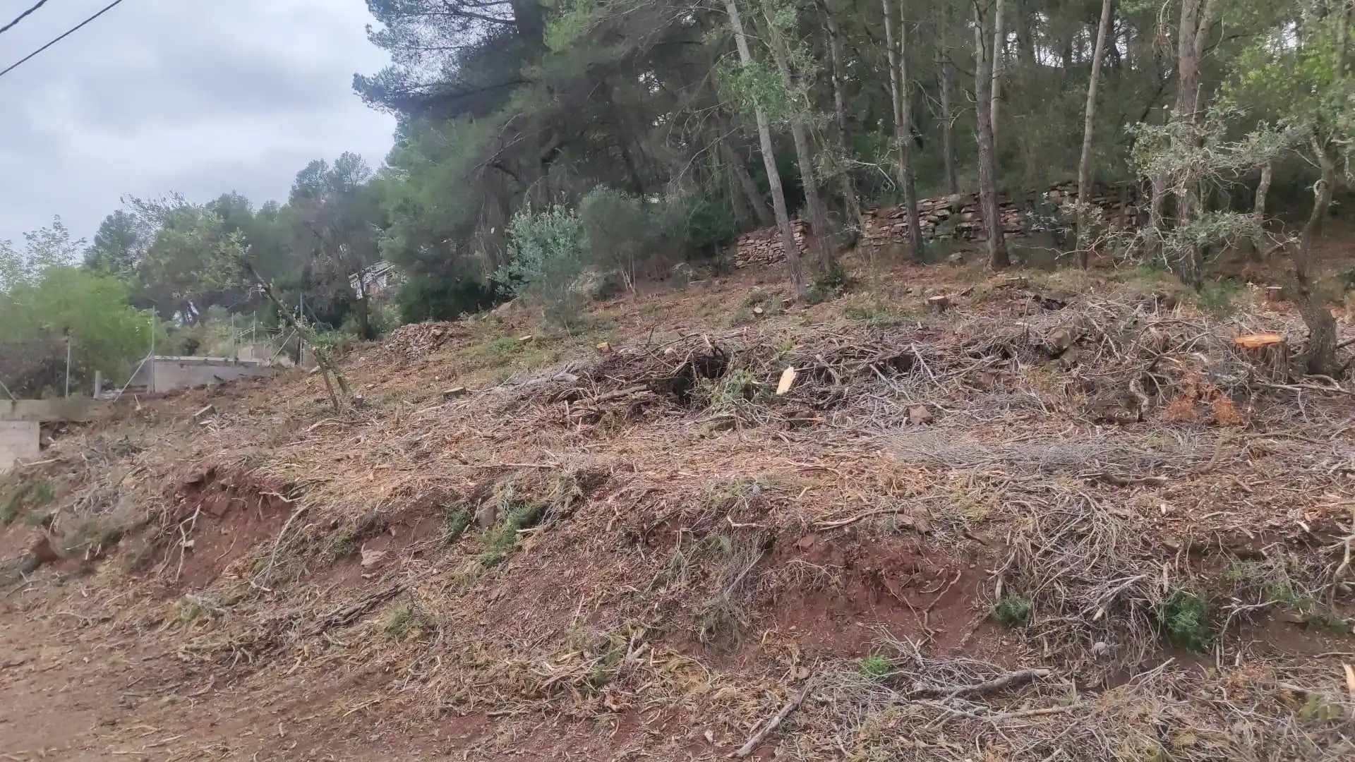 Terreny residencial en venda a Mediona