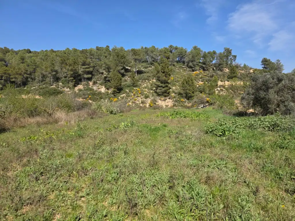 Terreno rustico in vendita a Carrer Soledat 2, imagen 3