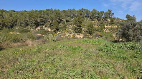 Finca amb aigua, immagine 3