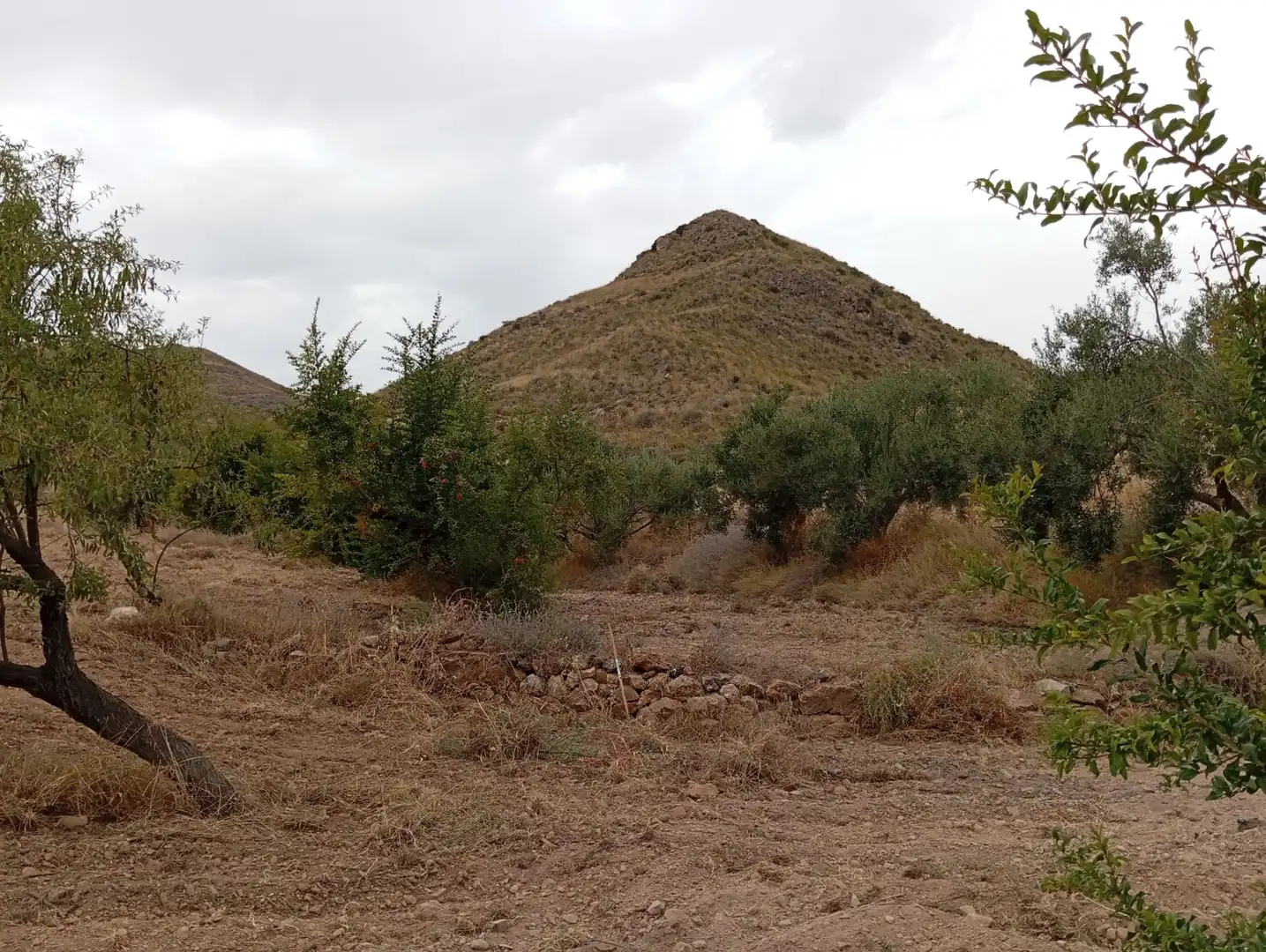 Terreni e lotti in vendita a Bolnuevo, imagen 22