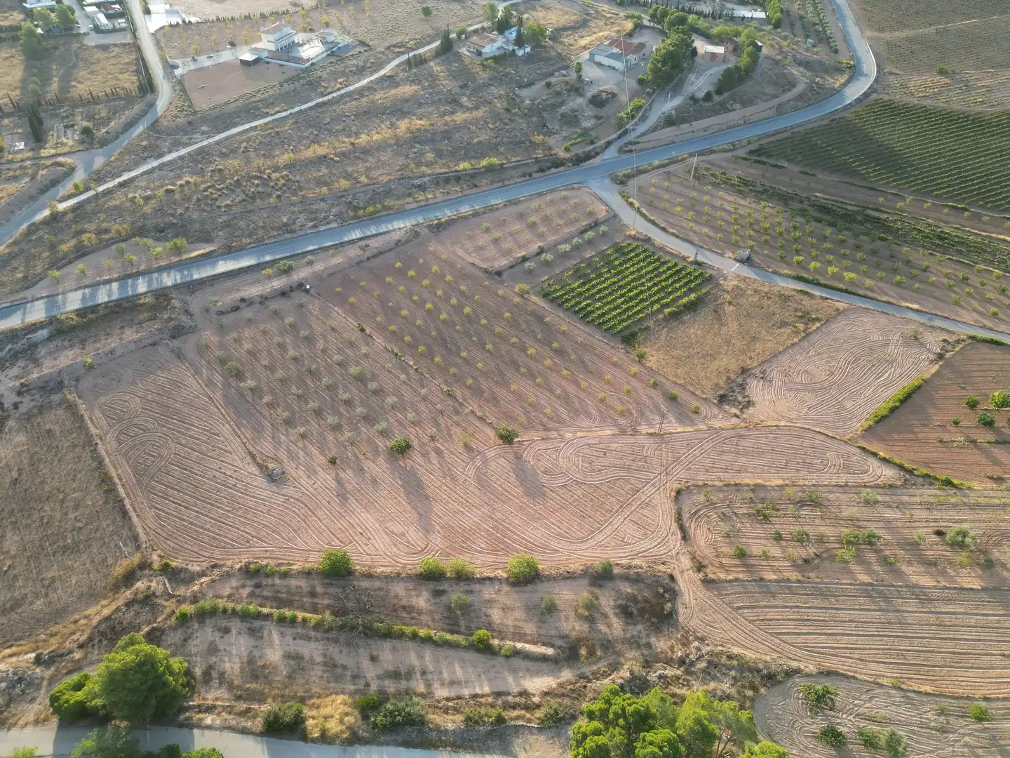 Terreno residencial en venta en El Pinós / Pinoso, imagen 8