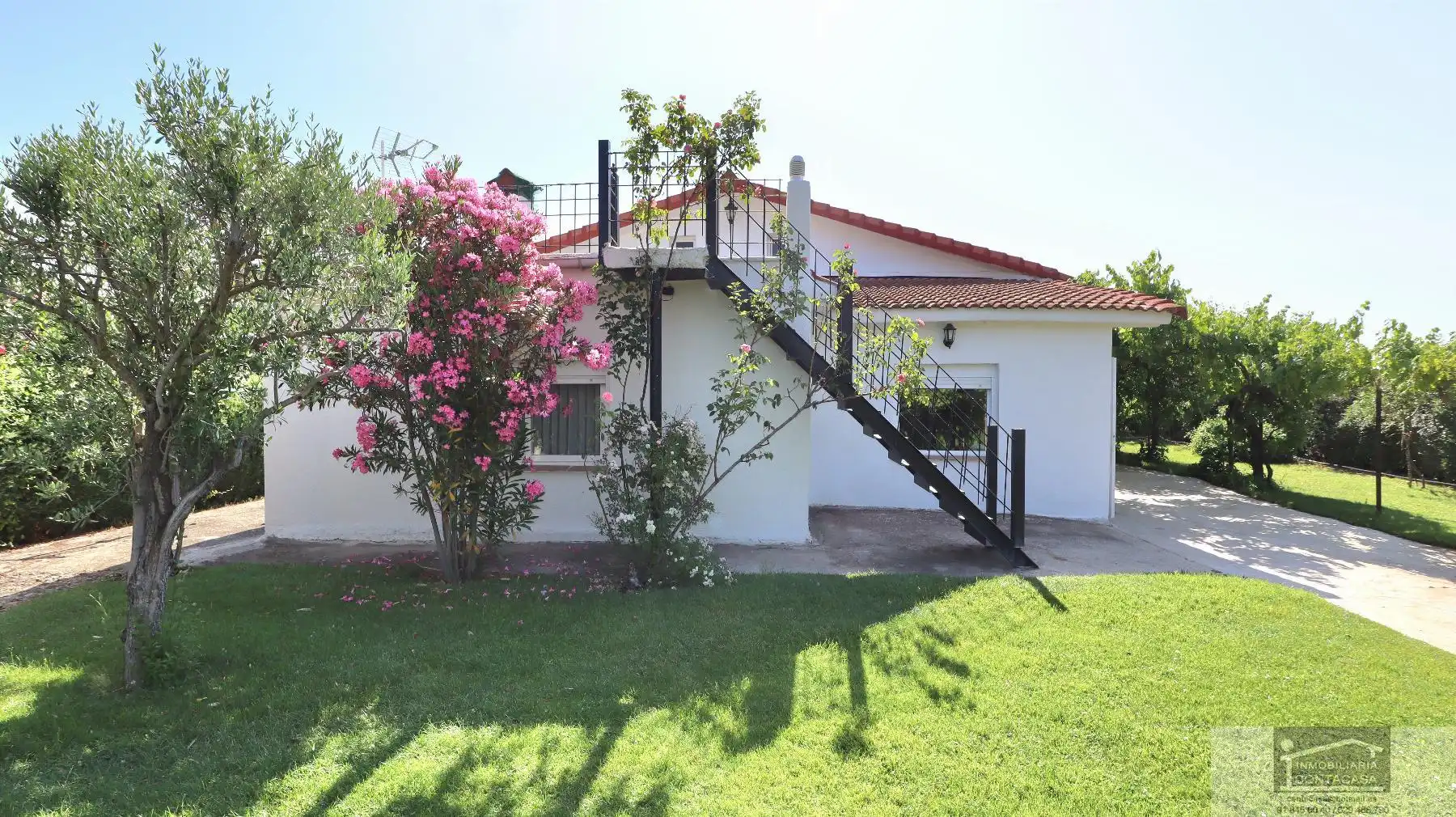 Vista exterior de Casa o chalet en venta en Fuente El Saz de Jarama con Calefacción, Terraza y Trastero