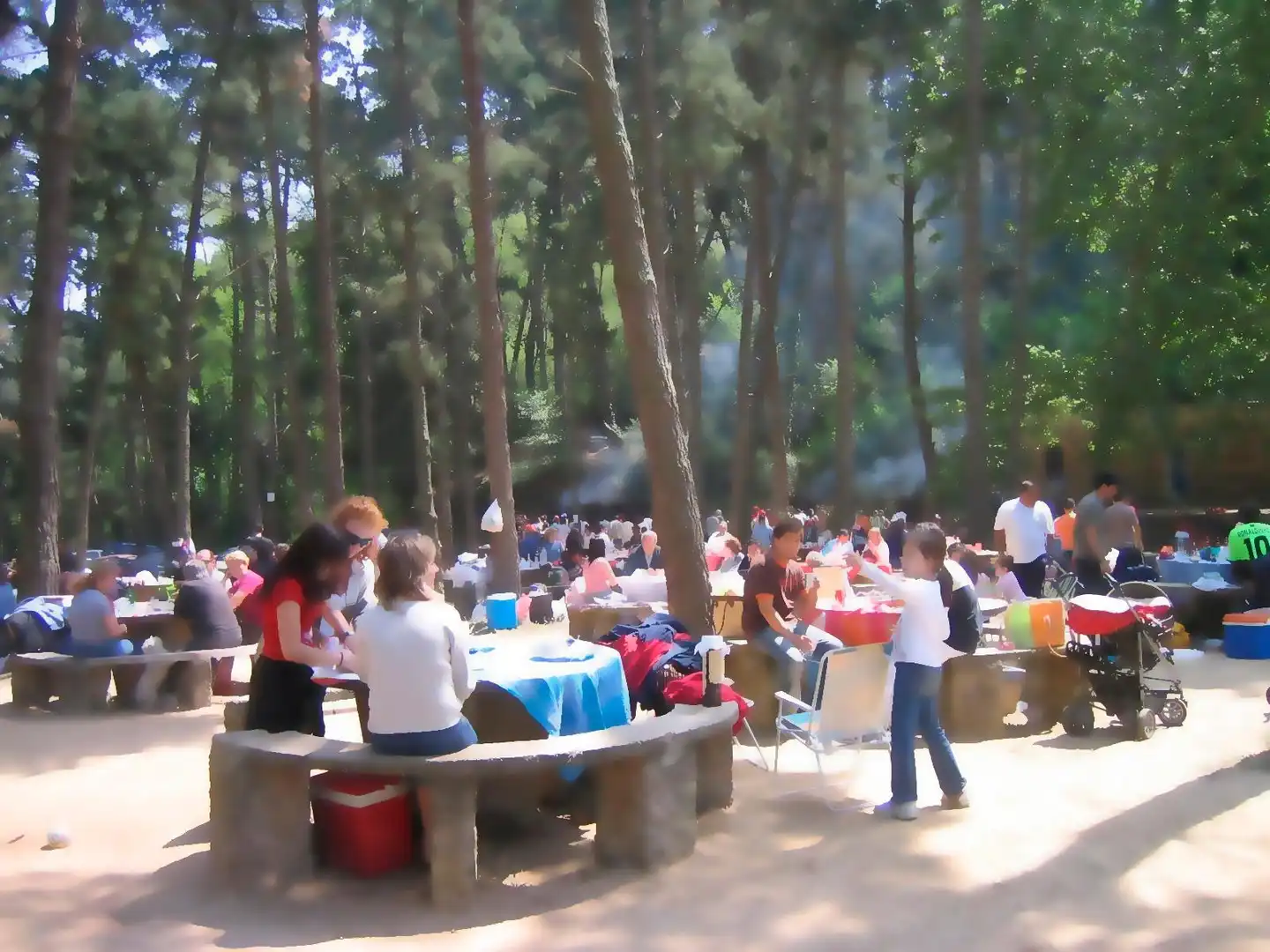 Finca rústica en venda en Arenys de Munt
