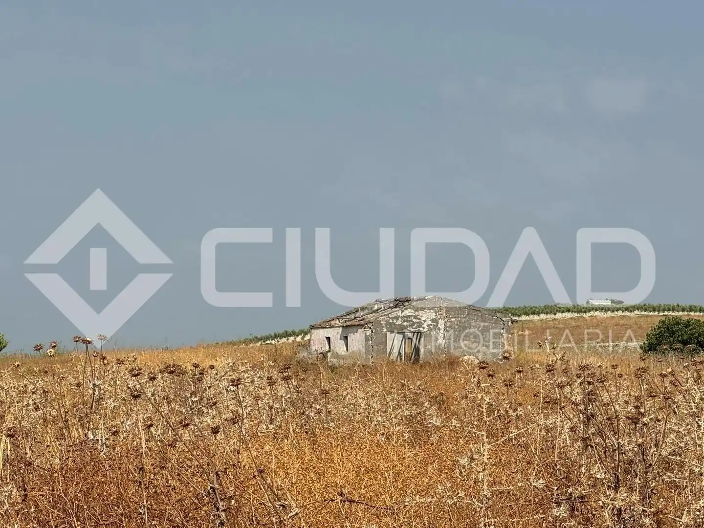 Lands and plots for sale in Lebrija, imagen 10