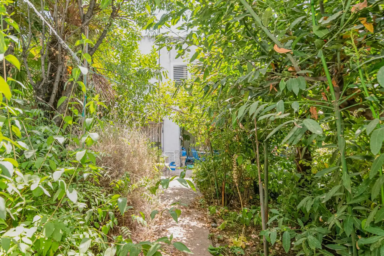 Jardín de Casa o chalet en venta en Granada con Aire acondicionado, Calefacción y Jardín privado