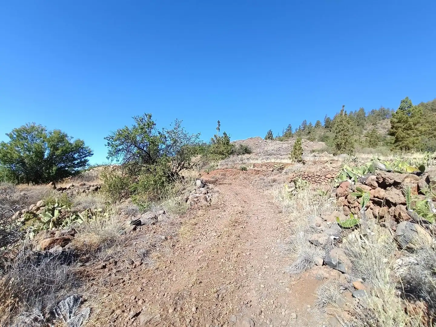 Terreno rústico en venta en M\A LIRIOS. VILAFLOR DE CHASNA [S.C. TENERIFE], imagen 27