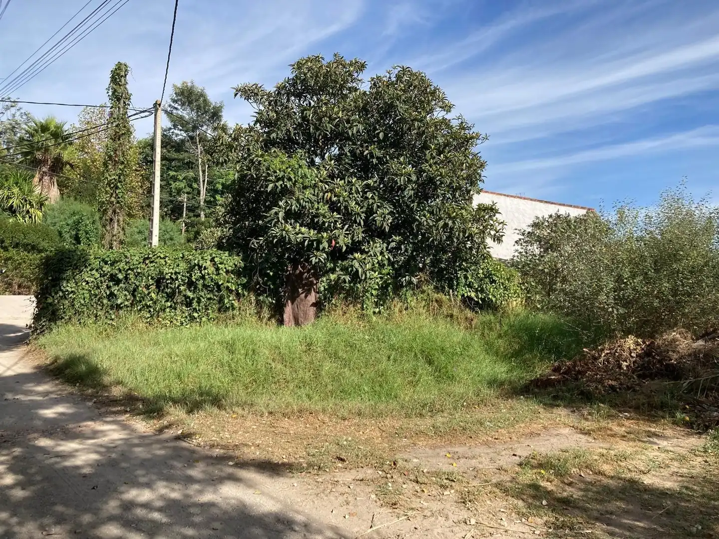 Casa rústica amb jardí en venda a Barbate ciudad, imagen 35