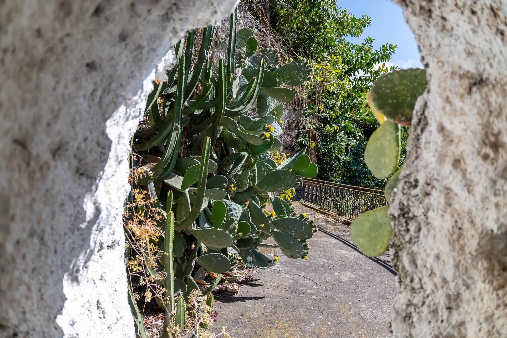 Detached house with pool for sale in Las Cuevas - Los Gómez, imagen 8