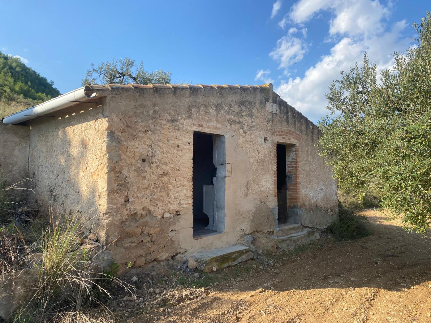 Exterior view of Country house for sale in Albinyana