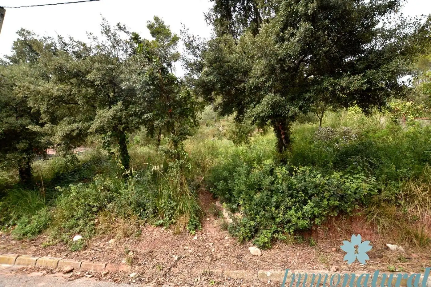 Terreno residencial en venta en Calle Rafael Casanova 10, imagen 4