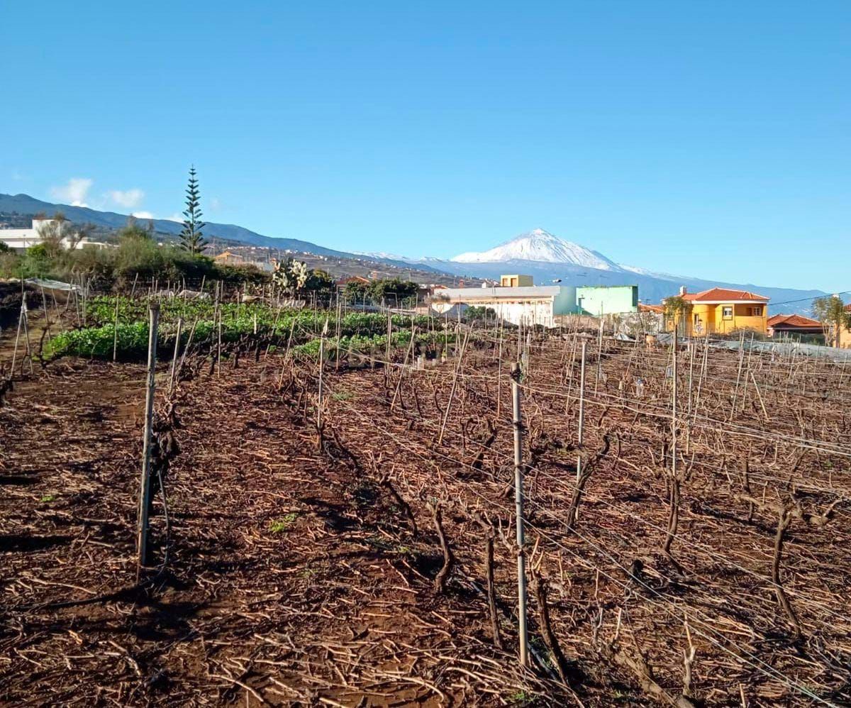 Casa o xalet en venda a Tacoronte - Los Naranjeros