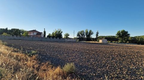 Finca urbana, immagine 3