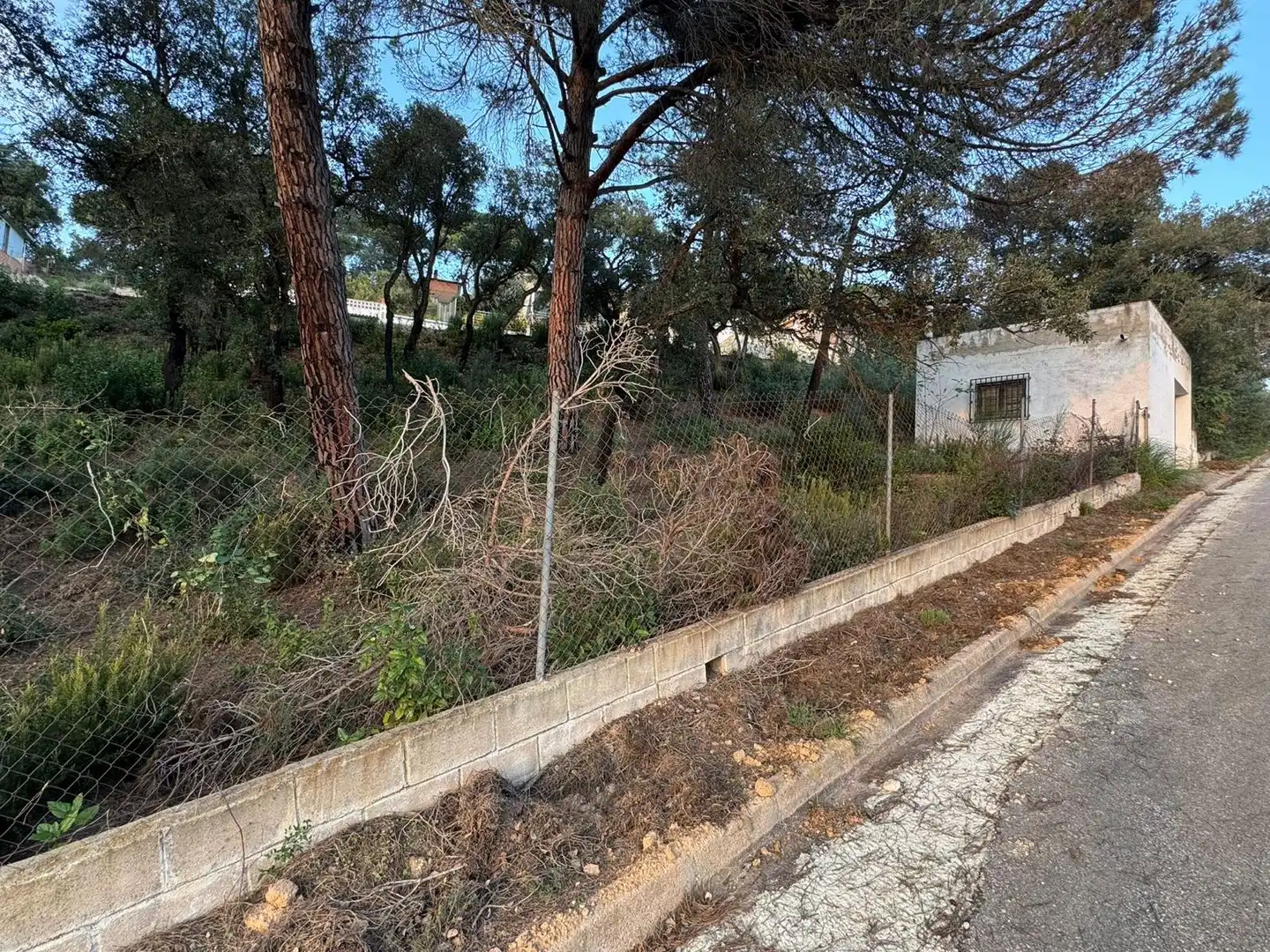 Grundstücke und Bauplätze zum Verkauf in Lloret Residencial - Montlloret, imagen 19