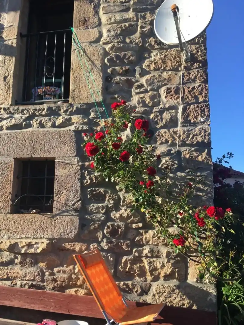 Jardí de Casa o xalet en venda en Polaciones