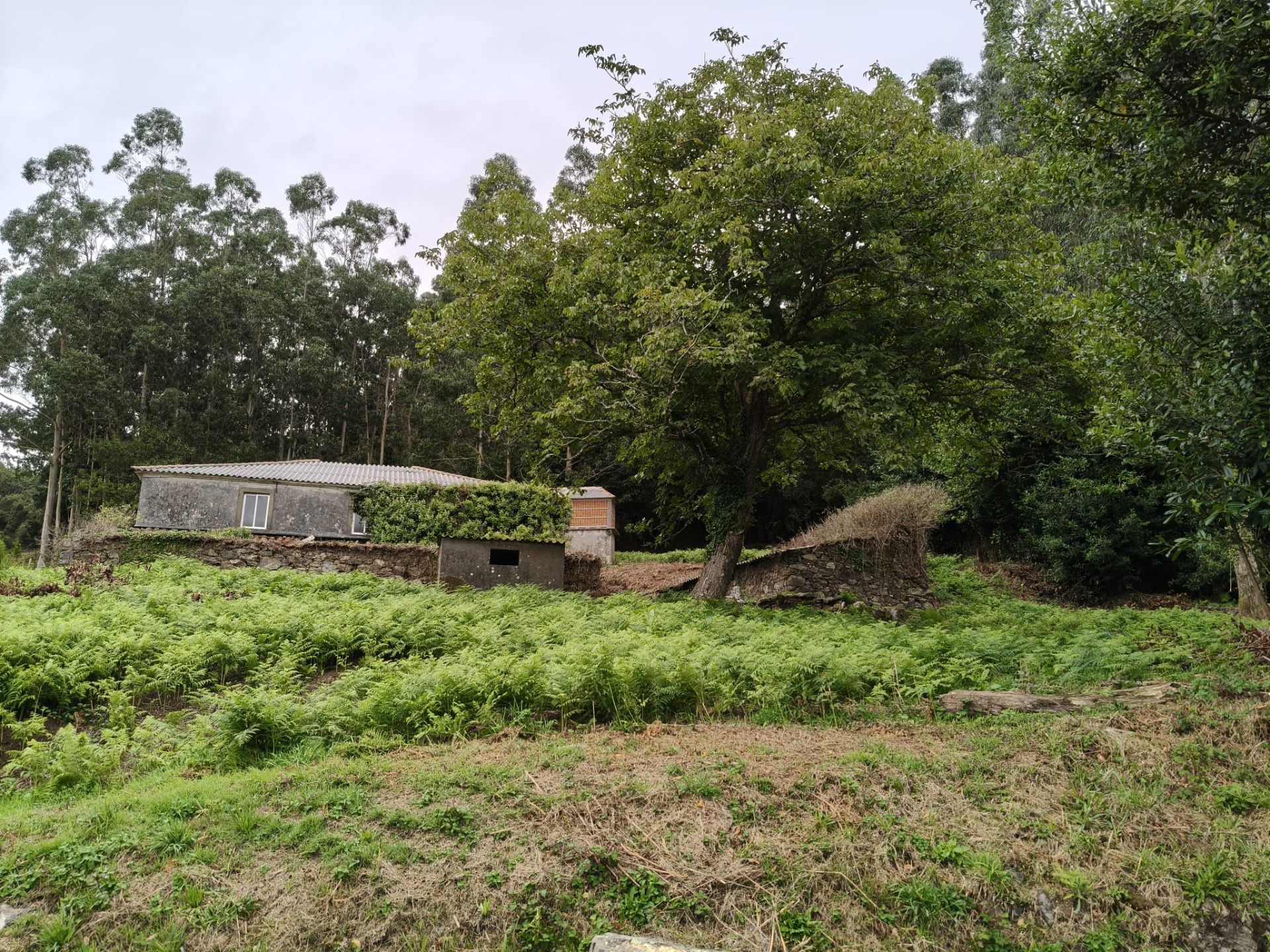 Finca rústica en venda a Lugar Liñares, 4