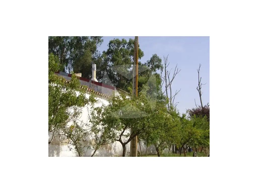 Chalet con piscina en venta en DEL AEROPUERTO (BA-5051), imagen 9