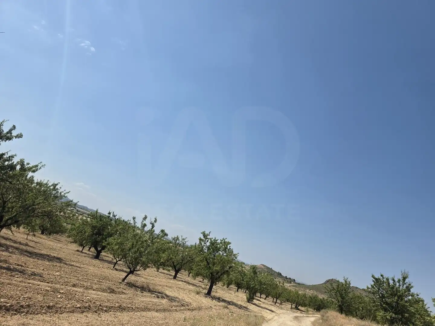 Terrenys i solars en venda a Cehegín, imagen 10