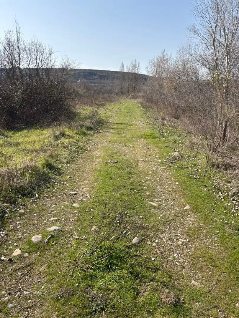 Rural land for sale in Agoncillo, imagen 6