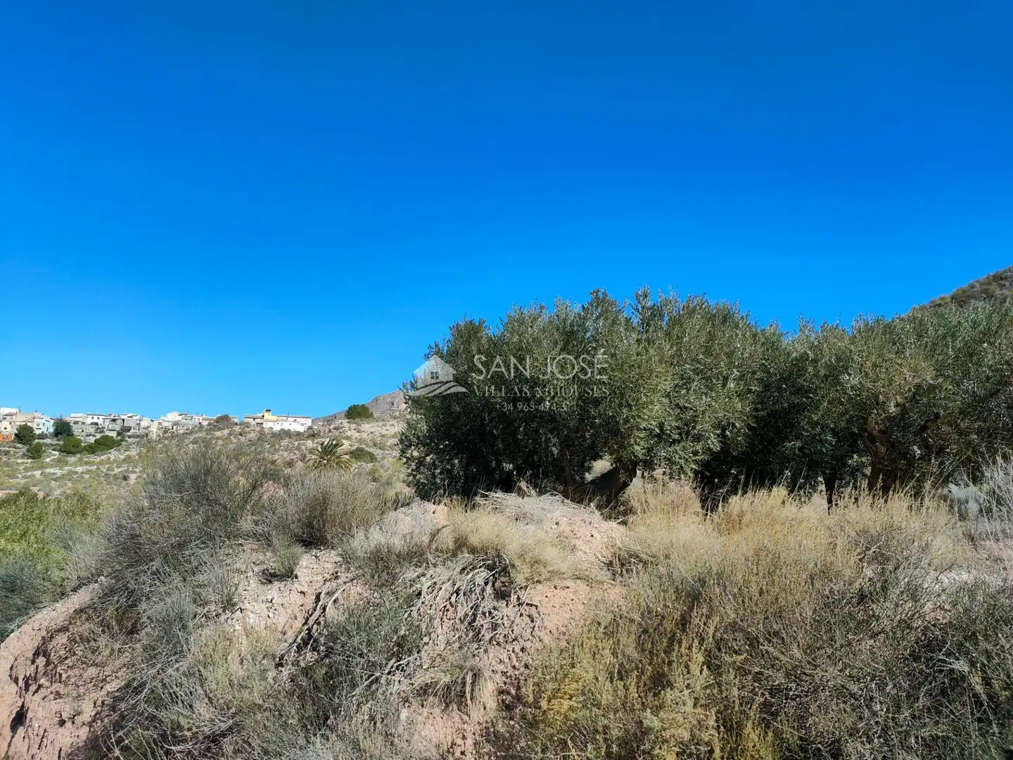 Lands and plots for sale in Abanilla, imagen 19