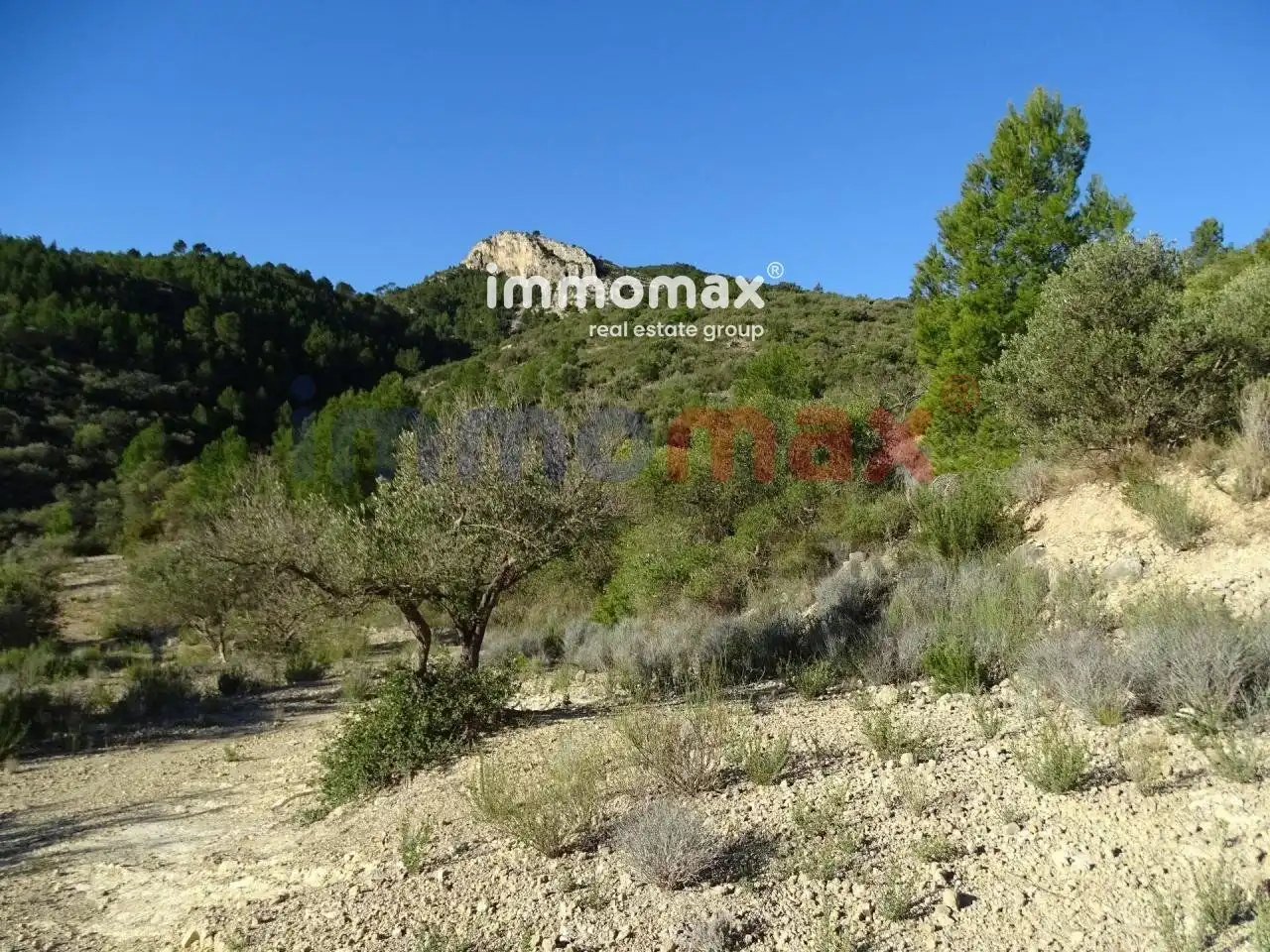 Terrain résidentiel à vendre à 16, imagen 14