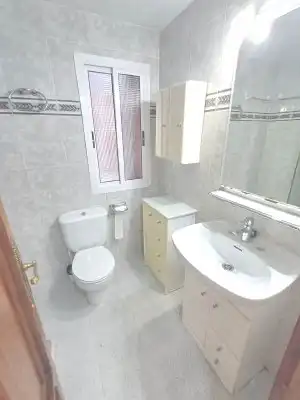 Bathroom of Flat for rent in Poniente-Sur