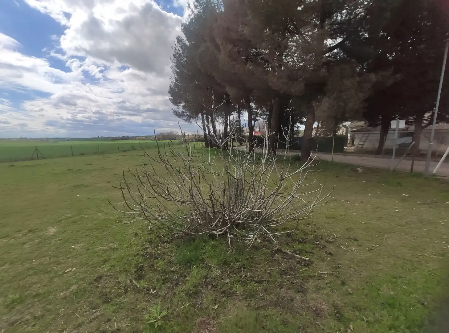 Terreni e lotti in vendita a La Dehesa de Moratalaz, imagen 11