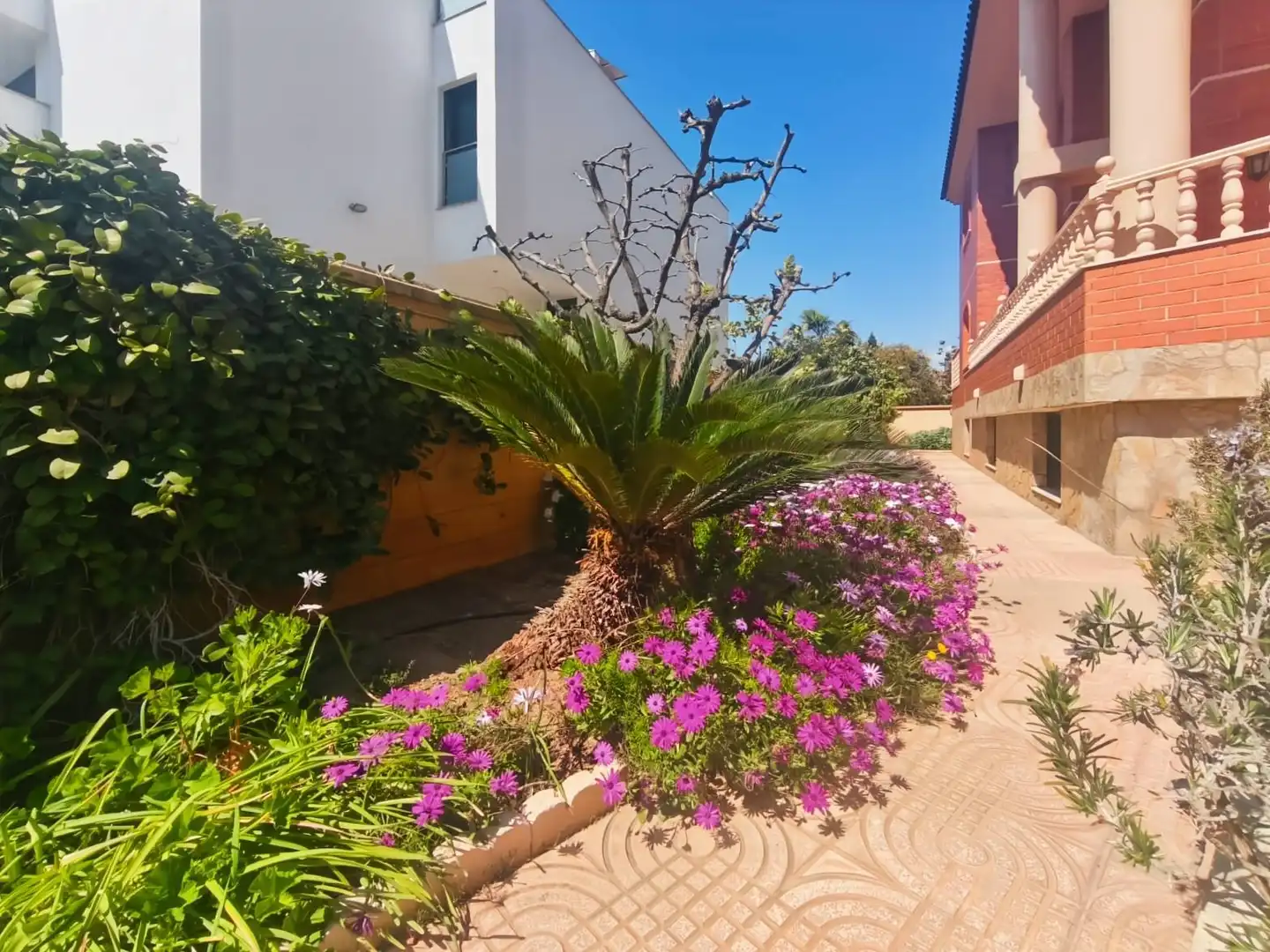 Detached house with pool for sale in Roquetas de Mar ciudad, imagen 52