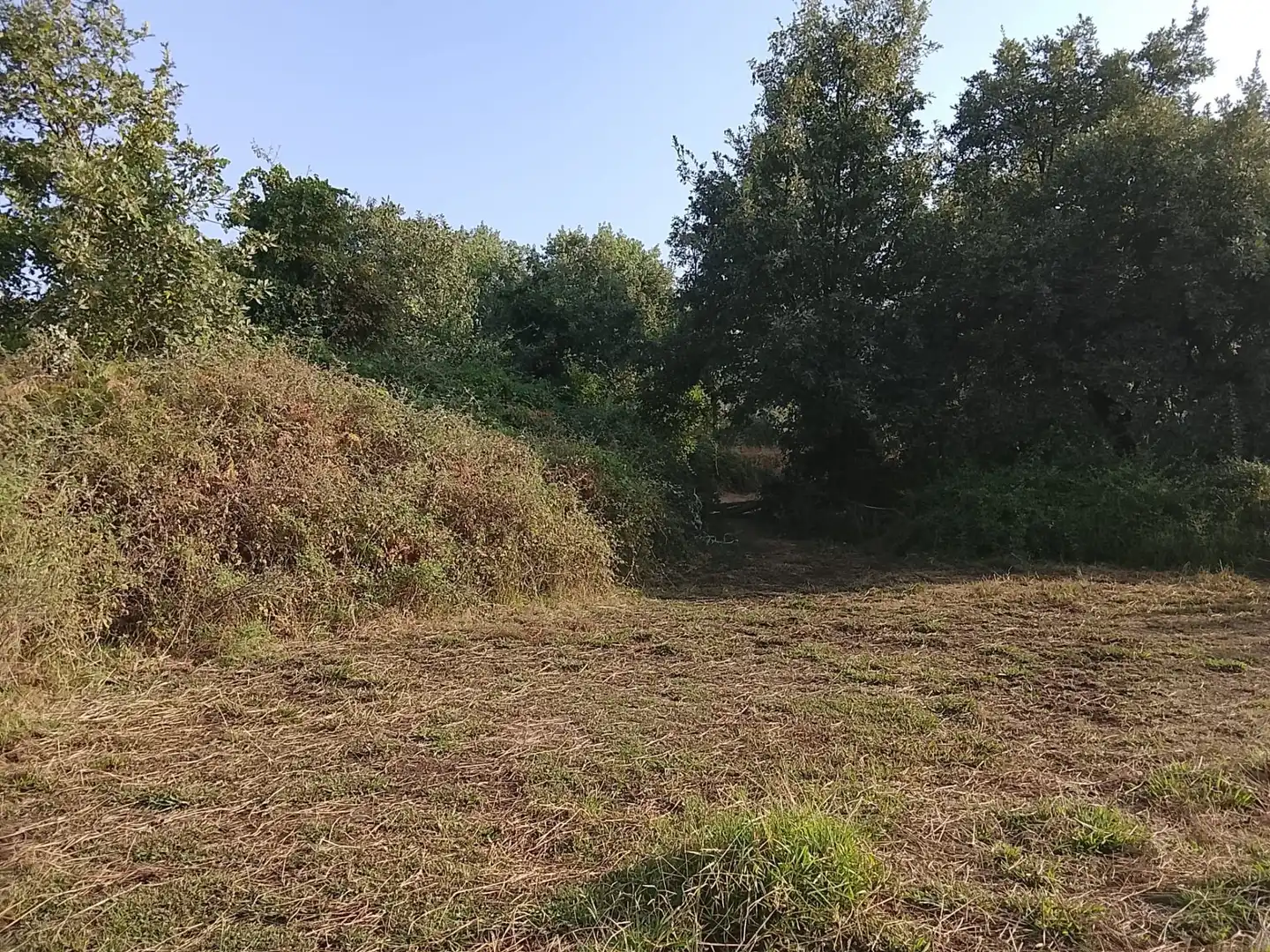 Terreni e lotti in vendita a Villanueva de la Vera, imagen 8