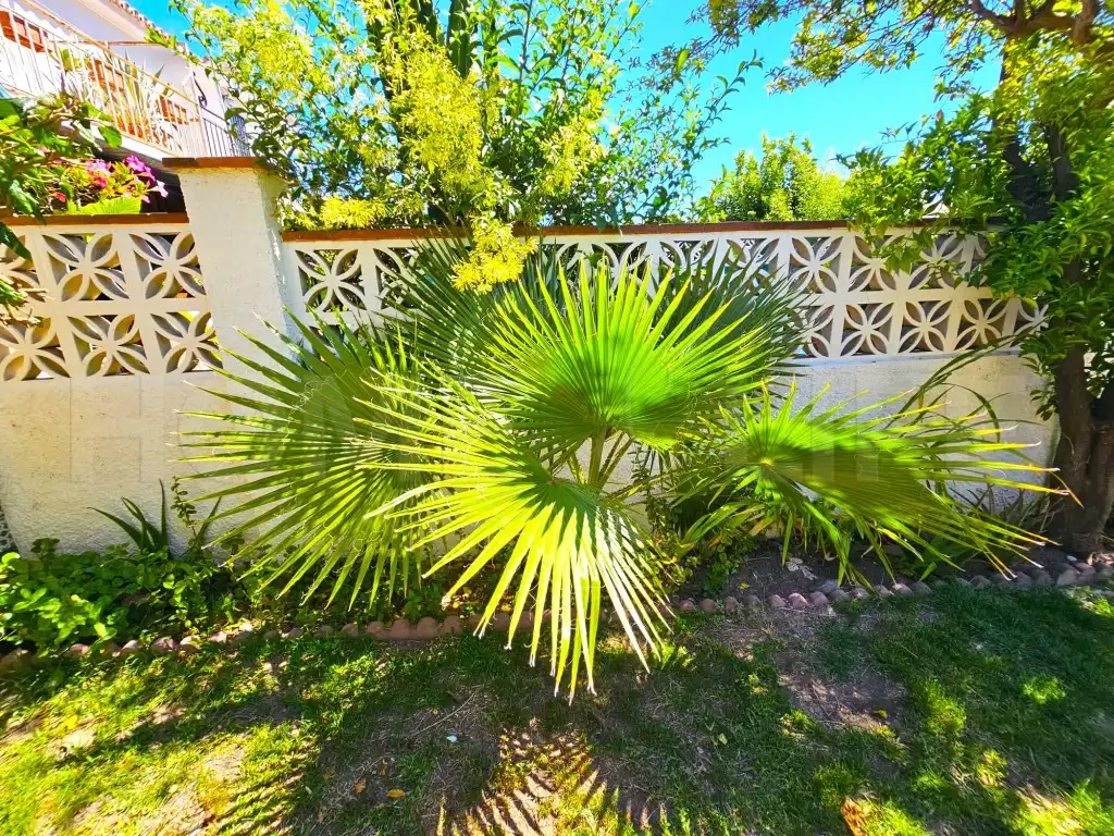 Jardí de Casa adosada en venda en Benalmádena amb Terrassa i Moblat