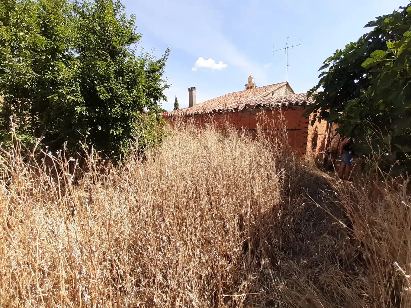Casa o chalet en venta en Casaseca de Campeán