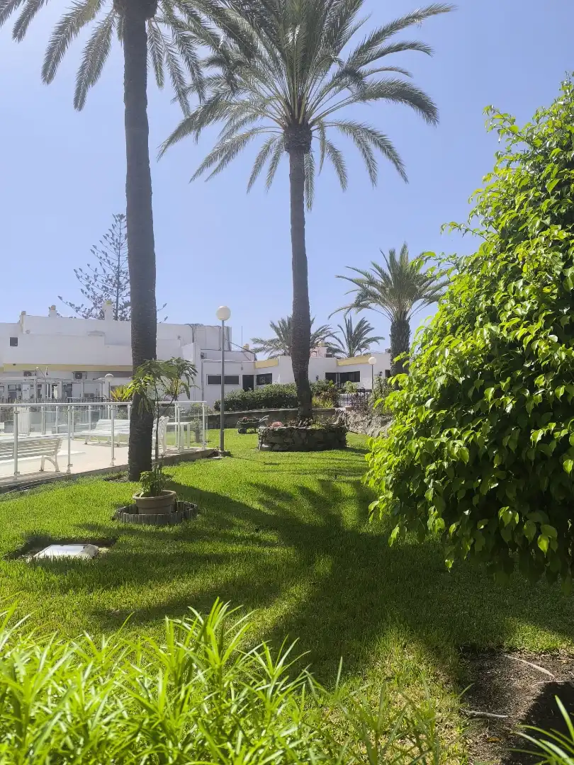 Jardí de Apartament en venda en San Bartolomé de Tirajana amb Aire condicionat, Terrassa i Piscina comunitària