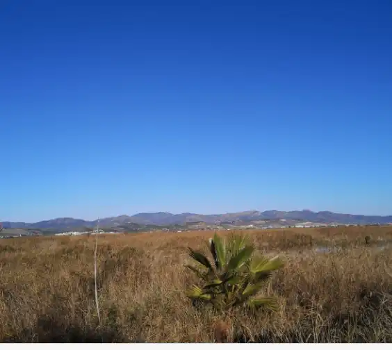 Rustikales Grundstück zum Verkauf in La Llosa, imagen 8